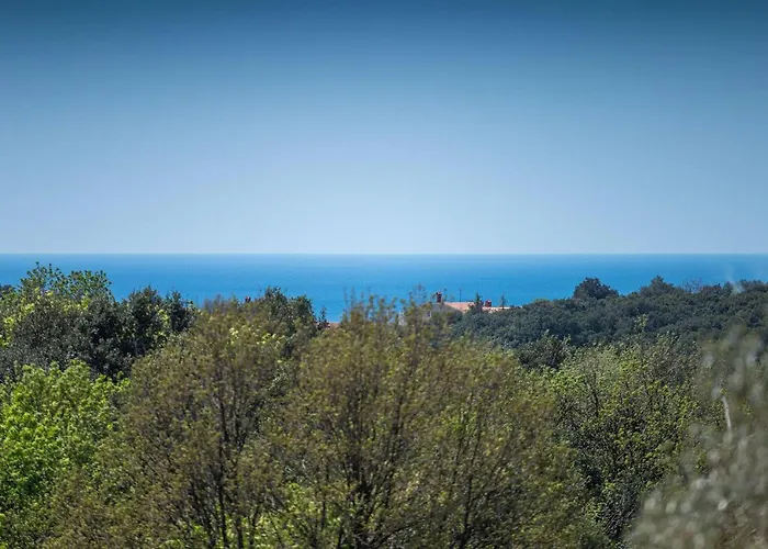 Zen Σπίτι διακοπών *